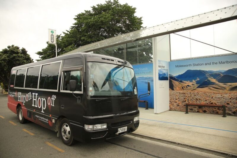 Marlborough: Hop-On Hop-Off Wine, Brewery, and Wonders Tour - The Transportation and Group Experience