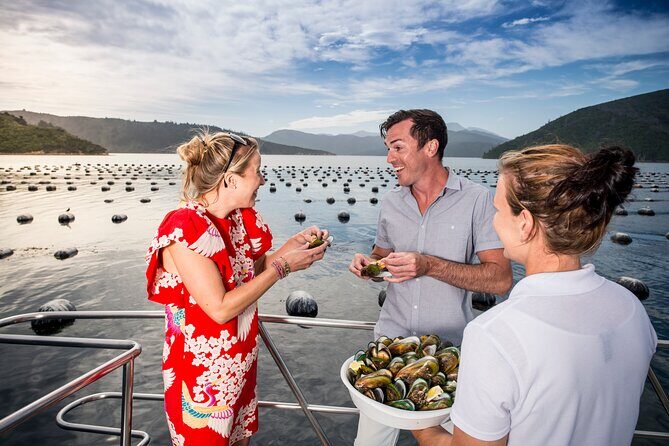Marlborough Icons Tour - Wine tasting + Cruise - Frequently Asked Questions