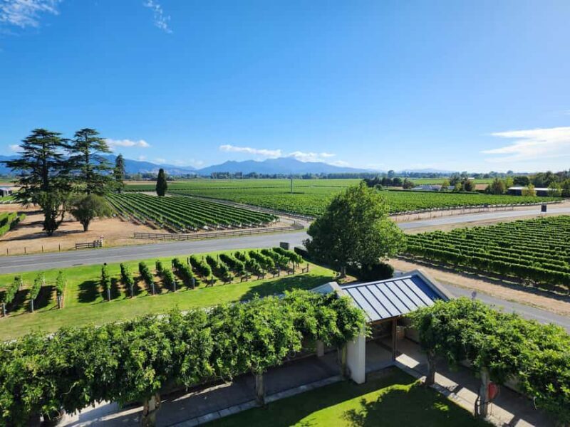 Marlborough Private Classic Wine Tour - Key Points