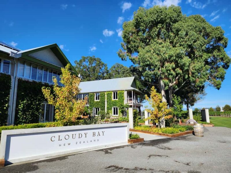 Marlborough Private Classic Wine Tour - Introduction: Why This Marlborough Wine Tour Could Be Your Perfect Day Out