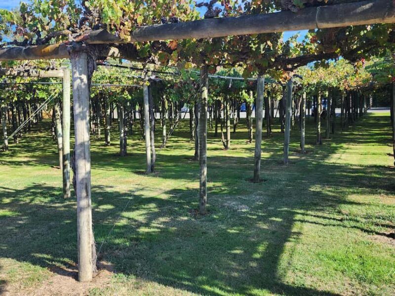 Marlborough Private Classic Wine Tour - What’s included and what to budget for