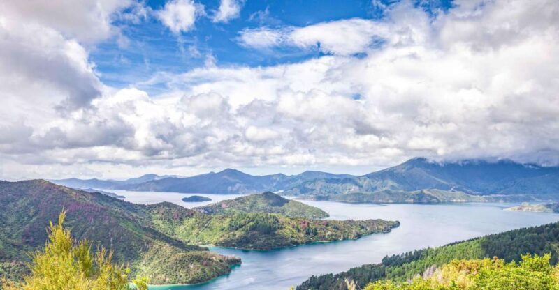 Marlborough Sounds and Ship Cove Cruise from Picton - A Deep Dive into the Experience