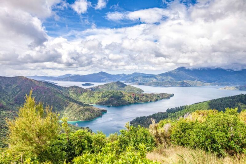 Marlborough Sounds and Ship Cove Cruise from Picton - Who Will Enjoy This Tour?