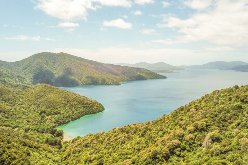 Marlborough Sounds and Ship Cove Cruise from Picton - FAQ