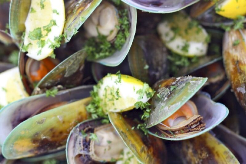Marlborough Sounds: Greenshell Mussel Cruise - Practical Details and Planning Tips
