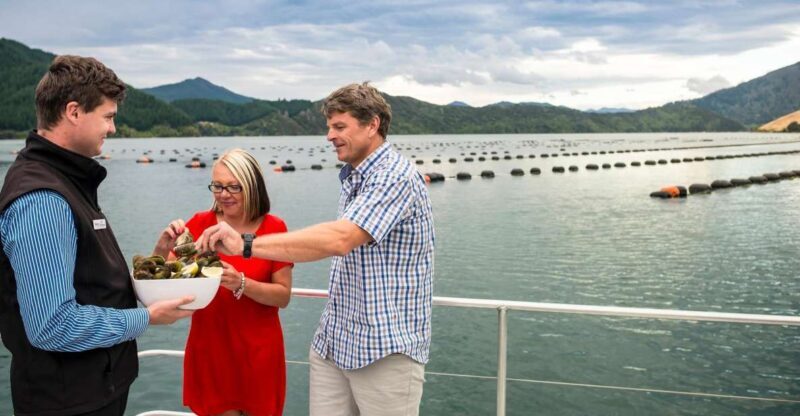 Marlborough Sounds: Greenshell Mussel Cruise - Authentic Guest Perspectives