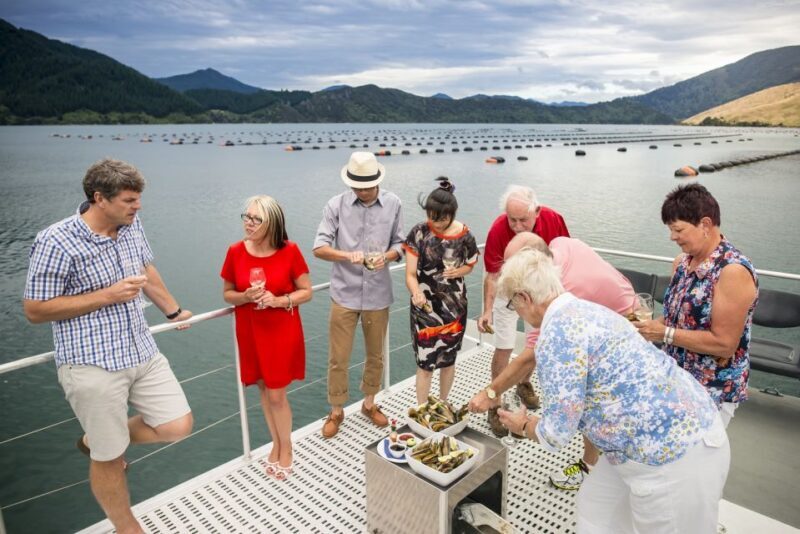 Marlborough Sounds: Greenshell Mussel Cruise - The Sum Up