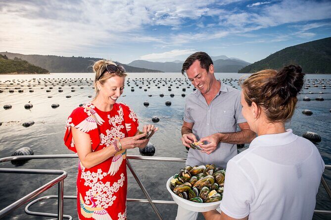 Marlborough Sounds Greenshell Mussel Tasting Cruise - Who Would Love This Tour?