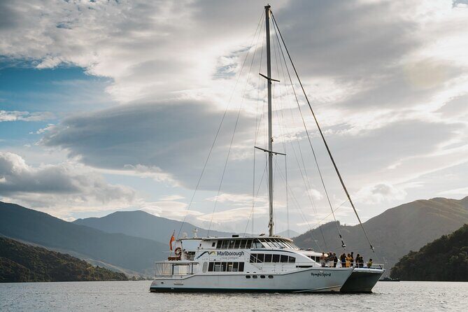 Marlborough Sounds Greenshell Mussel Tasting Cruise - The Bottom Line
