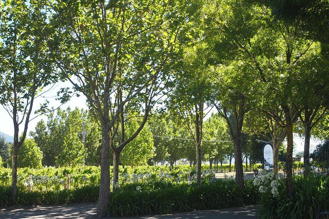 Marlborough Wine Region Tour from the Port of Picton - Itinerary Breakdown: What You Can Expect