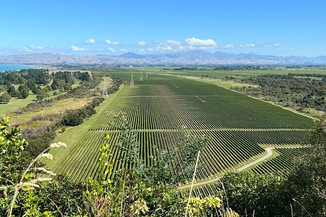 Marlborough Wine Region Tour from the Port of Picton - Pricing and Value