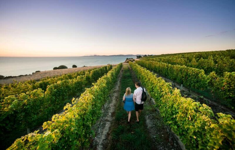 Marlborough Wine Tour: Including Cloudy Bay and Lunch - The Itinerary in Detail