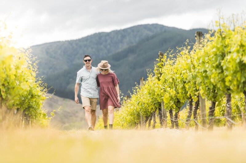 Marlborough: Wineries Visit and Tasting Session - FAQs