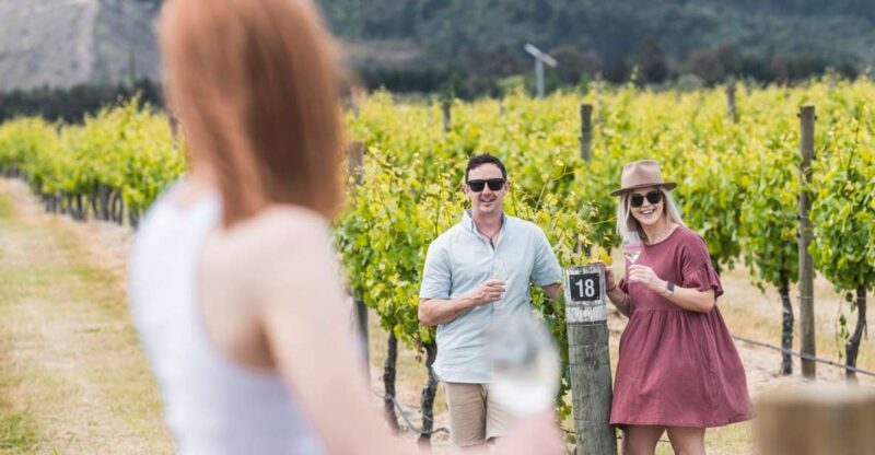 Marlborough: Wineries Visit with Tastings and 2-Course Lunch - Who Should Consider This Tour?