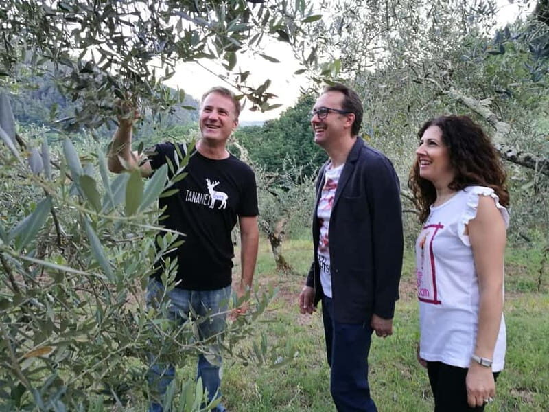 Marliana: Tuscan Olive Oil Tour with Dinner - Exploring the Experience: What You Can Expect