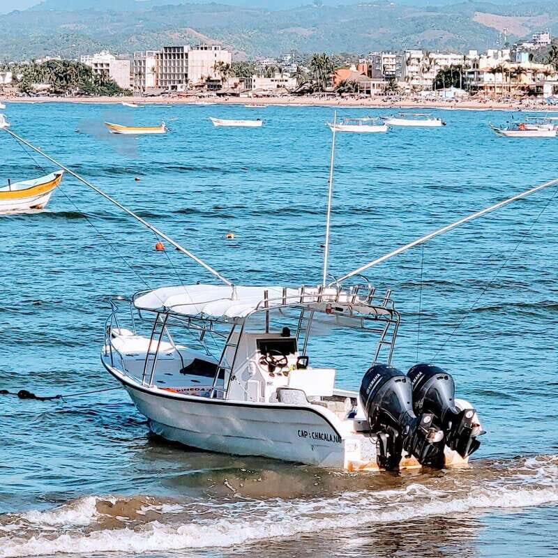 Marlin fishing in guayabitos - The Itinerary and What to Expect