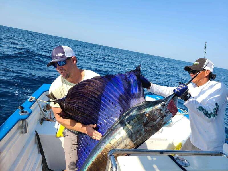 Marlin fishing in guayabitos - Value and Cost Analysis