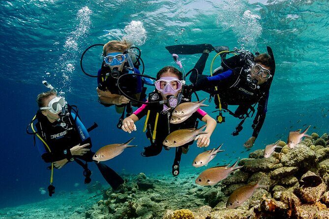Marmaris Full Day Scuba Diving Two Dives With Lunch Hotel pickup - Explore Marmaris’s Underwater World with a Full-Day Scuba Diving Tour