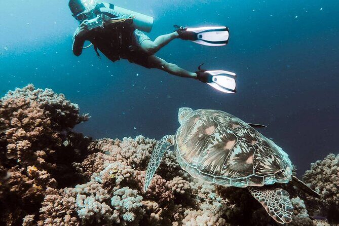 Marmaris Full Day Scuba Diving Two Dives With Lunch Hotel pickup - What Makes This Scuba Tour Stand Out?