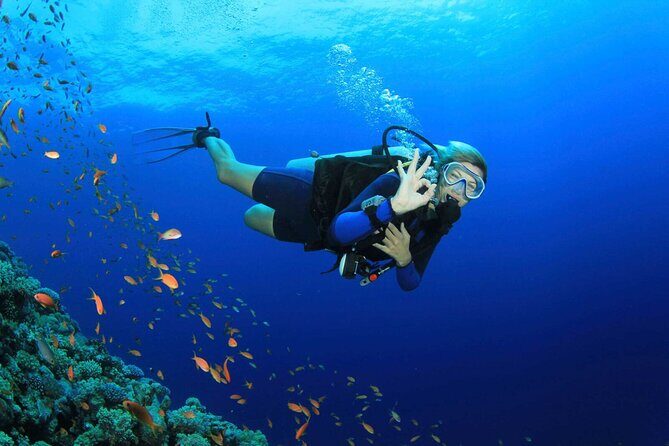 Marmaris Full Day Scuba Diving Two Dives With Lunch Hotel pickup - Why This Tour Offers Great Value