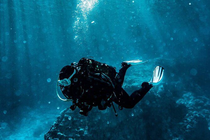 Marmaris Full Day Scuba Diving Two Dives With Lunch Hotel pickup - Who Will Love This Experience?