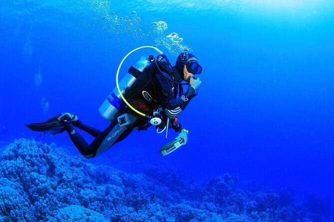 Marmaris Full Day Scuba Diving Two Dives With Lunch Hotel pickup - FAQ