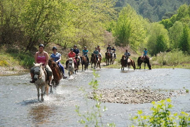 Marmaris: Horse Riding & Safari with Hotel Transfer - What to Expect from the Marmaris Horse Riding & Safari