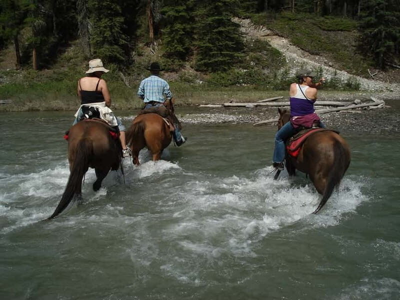 Marmaris: Horse Riding & Safari with Hotel Transfer - The Experience in Detail: From Arrival to Departure