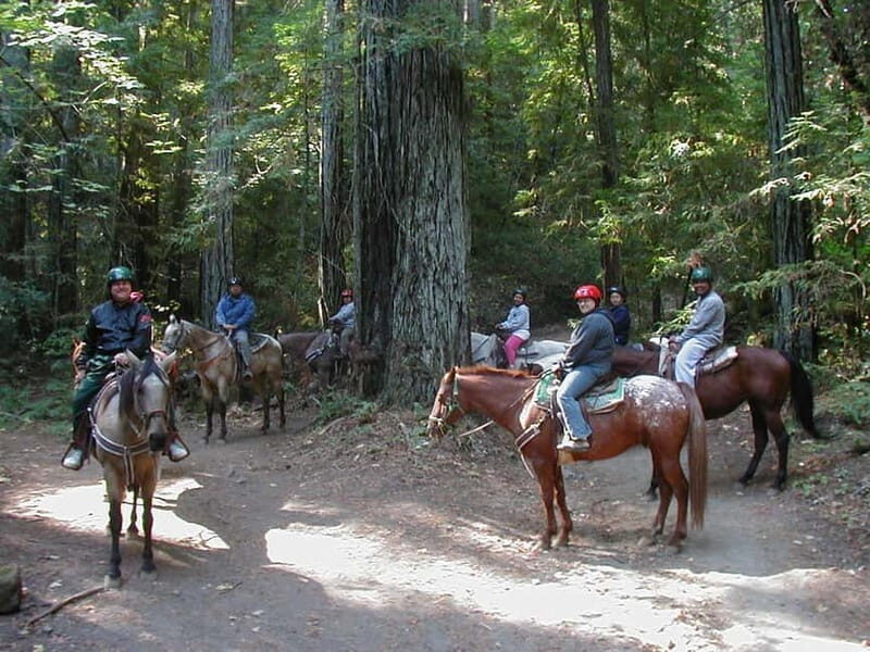 Marmaris: Horse Riding & Safari with Hotel Transfer - Who Will Love This Tour?