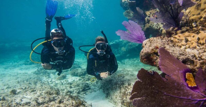 marmaris-scuba-diving-experience