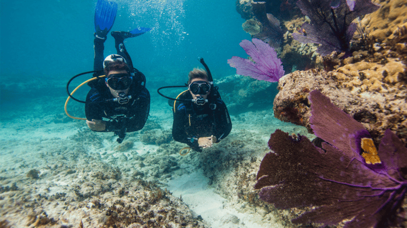 marmaris-scuba-diving-experience