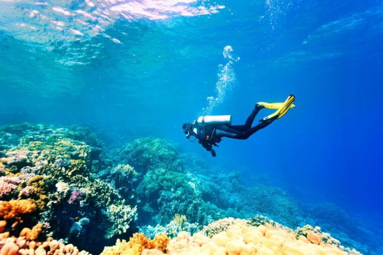 marmaris-scuba-diving-experience-with-2-dives-and-lunch