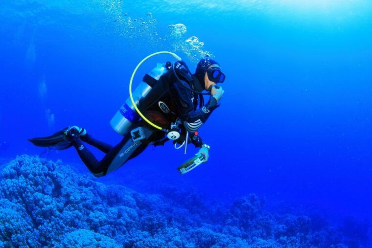 marmaris-scuba-diving-experience-with-2-dives-and-lunch