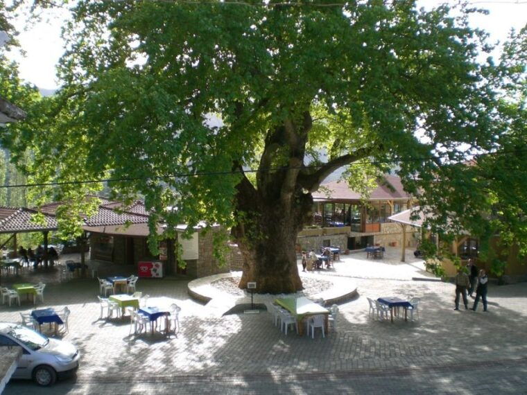 marmaris-village-tour-turgut-waterfalls-and-mermaid-sand