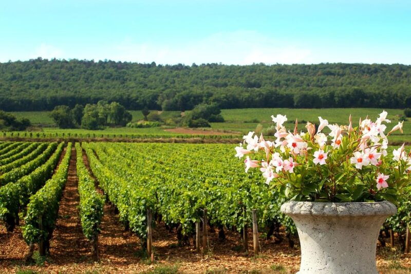 marne-champagne-region-private-day-tour-with-lunch