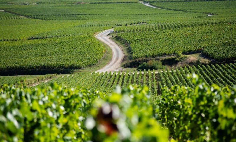 marne-champagne-region-private-day-tour-with-lunch