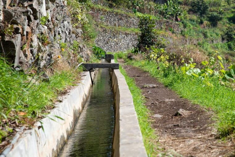 marocos-madeira-island-levada-walk