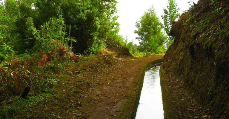 marocos-mimosa-valley-levada-walk