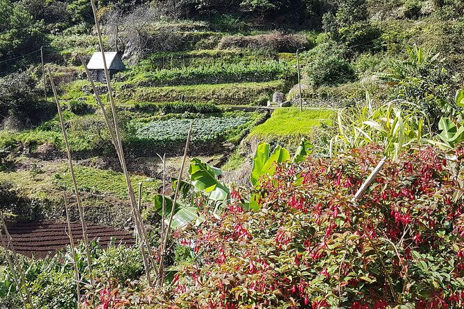 marocos-mimosa-valley-walk