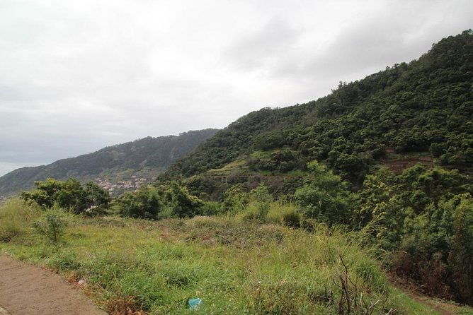 marocos-valley-of-the-mimosas-half-day-walk