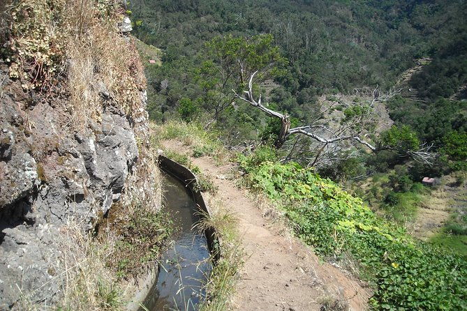 marocos-valley-of-the-mimosas-half-day-walk