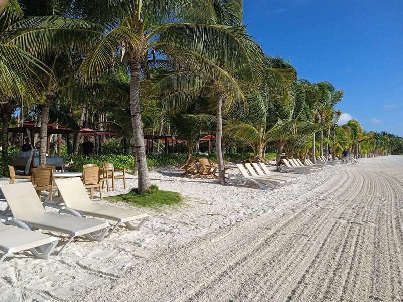 Maroma Beach: Day Pass at Maroma Beach Club & Transfer - Authentic Experiences & Review Insights