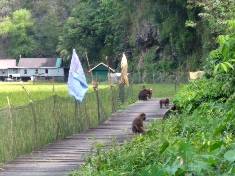maros-rammang-rammang-walk-boat-trip