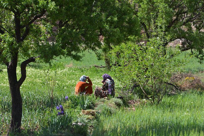 Marrakech : 1-Day Trip to the Ourika Valley - Exploring the Ourika Valley: A Natural and Cultural Gem