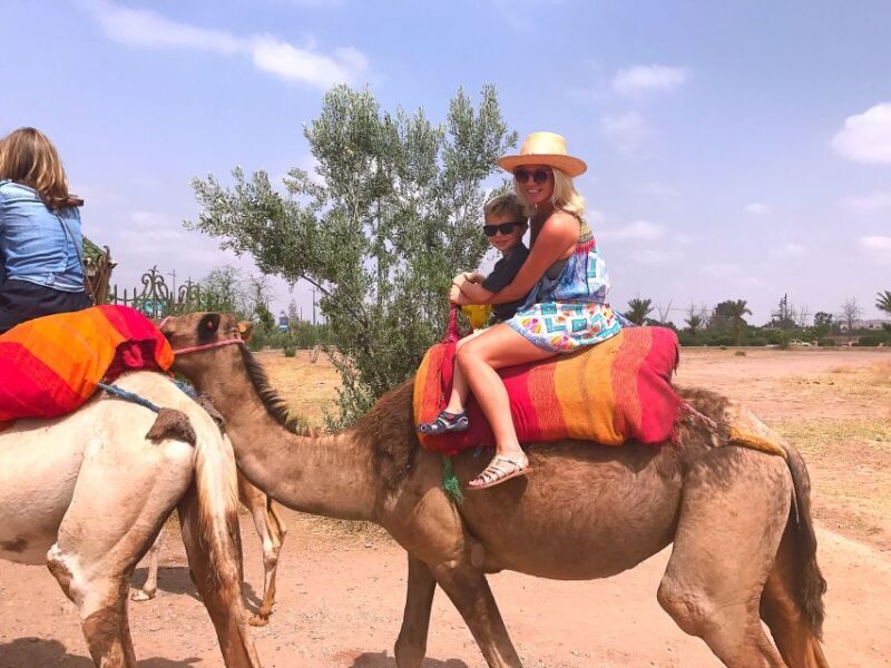 Marrakech : 1-Hour Camel Ride Through the Palm Grove - A Genuine Look at the Camel Ride Experience