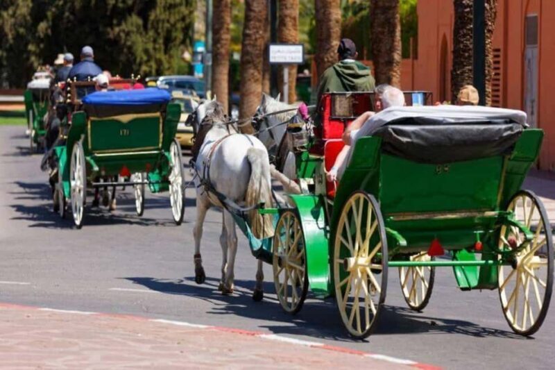 Marrakech: 1-Hour Traditional Horse-Drawn Carriage Tour - Key Points