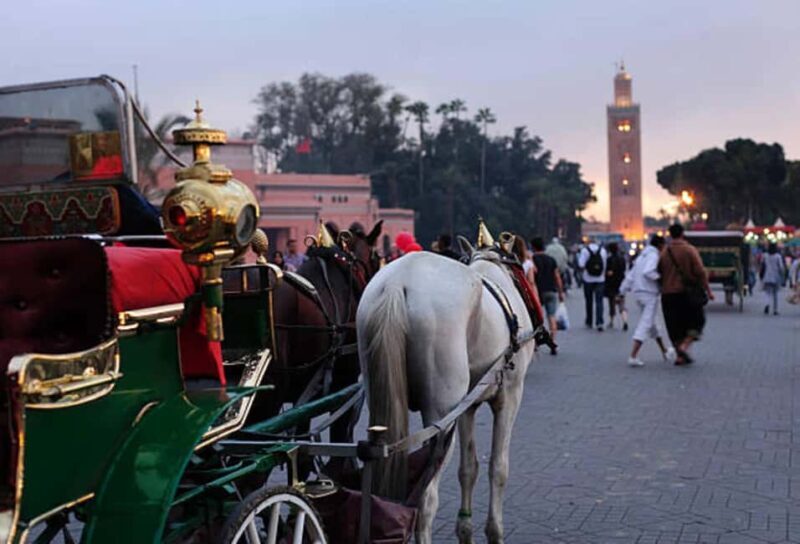 Marrakech: 1-Hour Traditional Horse-Drawn Carriage Tour - A Detailed Look at the Marrakech Horse-Drawn Carriage Tour