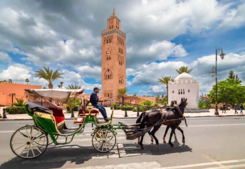 Marrakech: 1-Hour Traditional Horse-Drawn Carriage Tour - Who Should Consider This Tour?