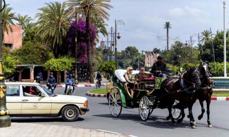 Marrakech: 1-Hour Traditional Horse-Drawn Carriage Tour - Final Thoughts