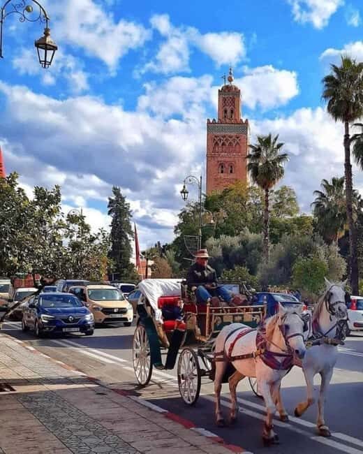 Marrakech: 1-Hour Traditional Horse-Drawn Carriage Tour - Value and Practicalities